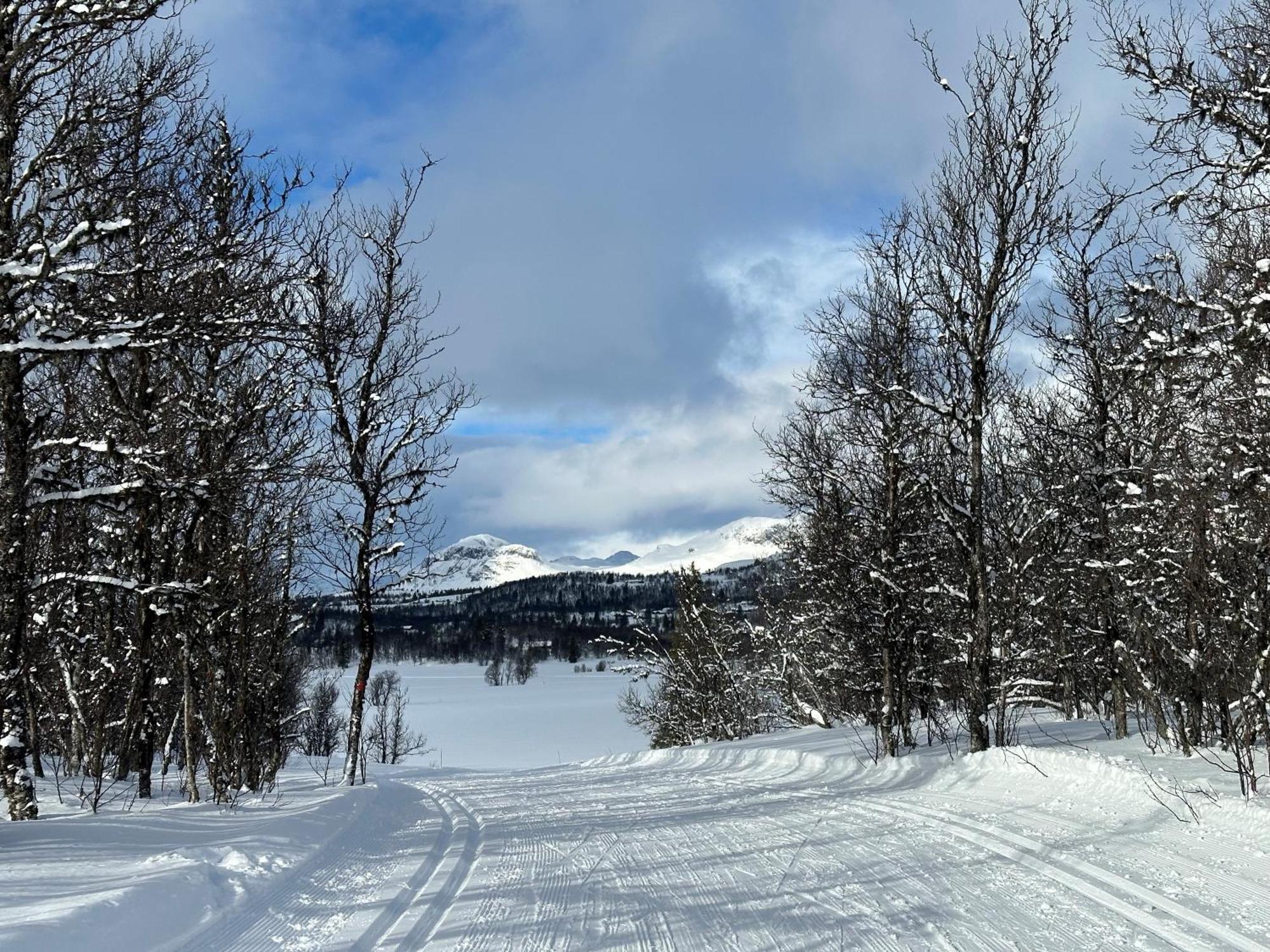 Kinnkosen - Cabin With Panoramic View For 6 Persons Holo Exterior photo