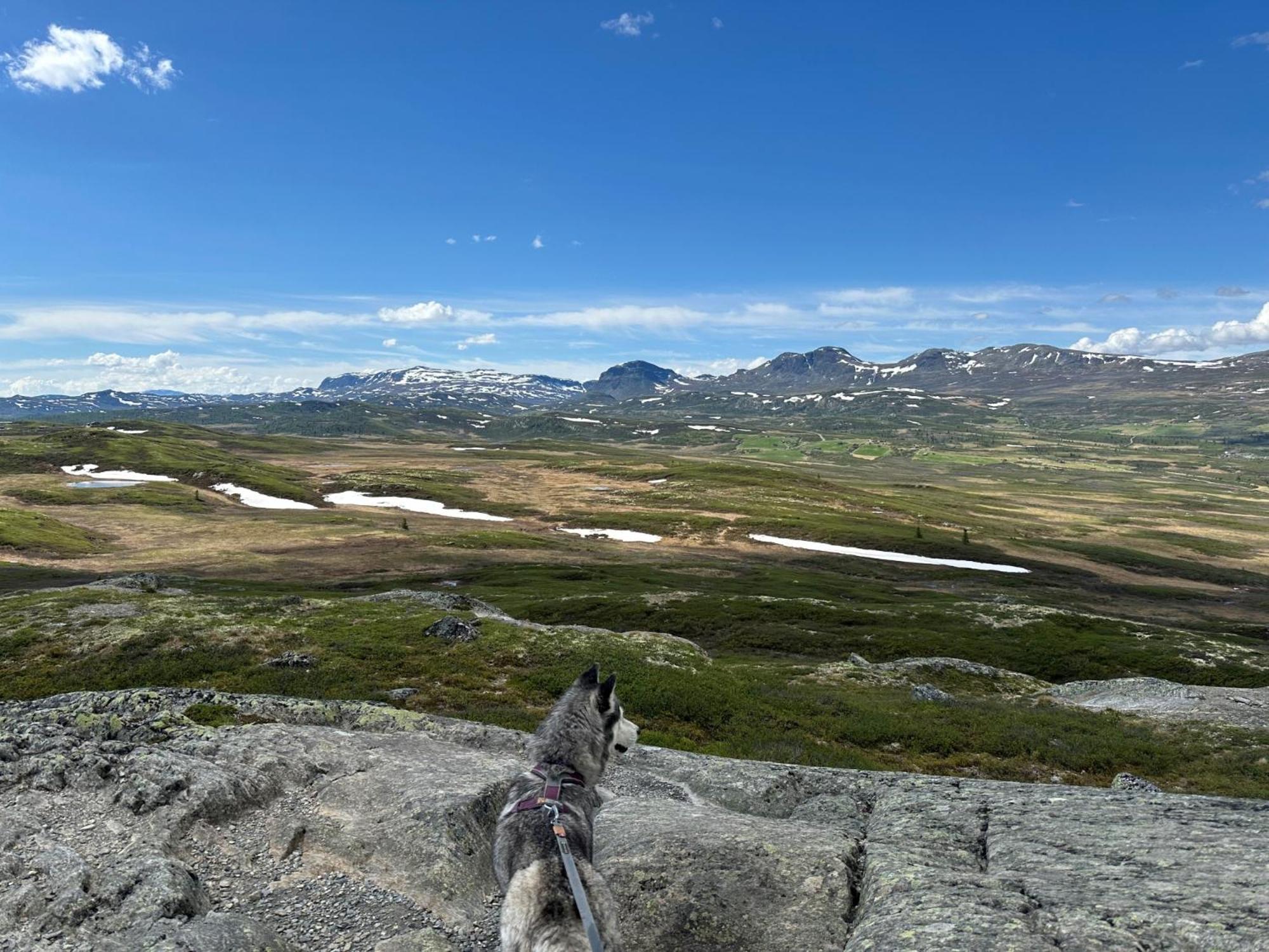 Kinnkosen - Cabin With Panoramic View For 6 Persons Holo Exterior photo