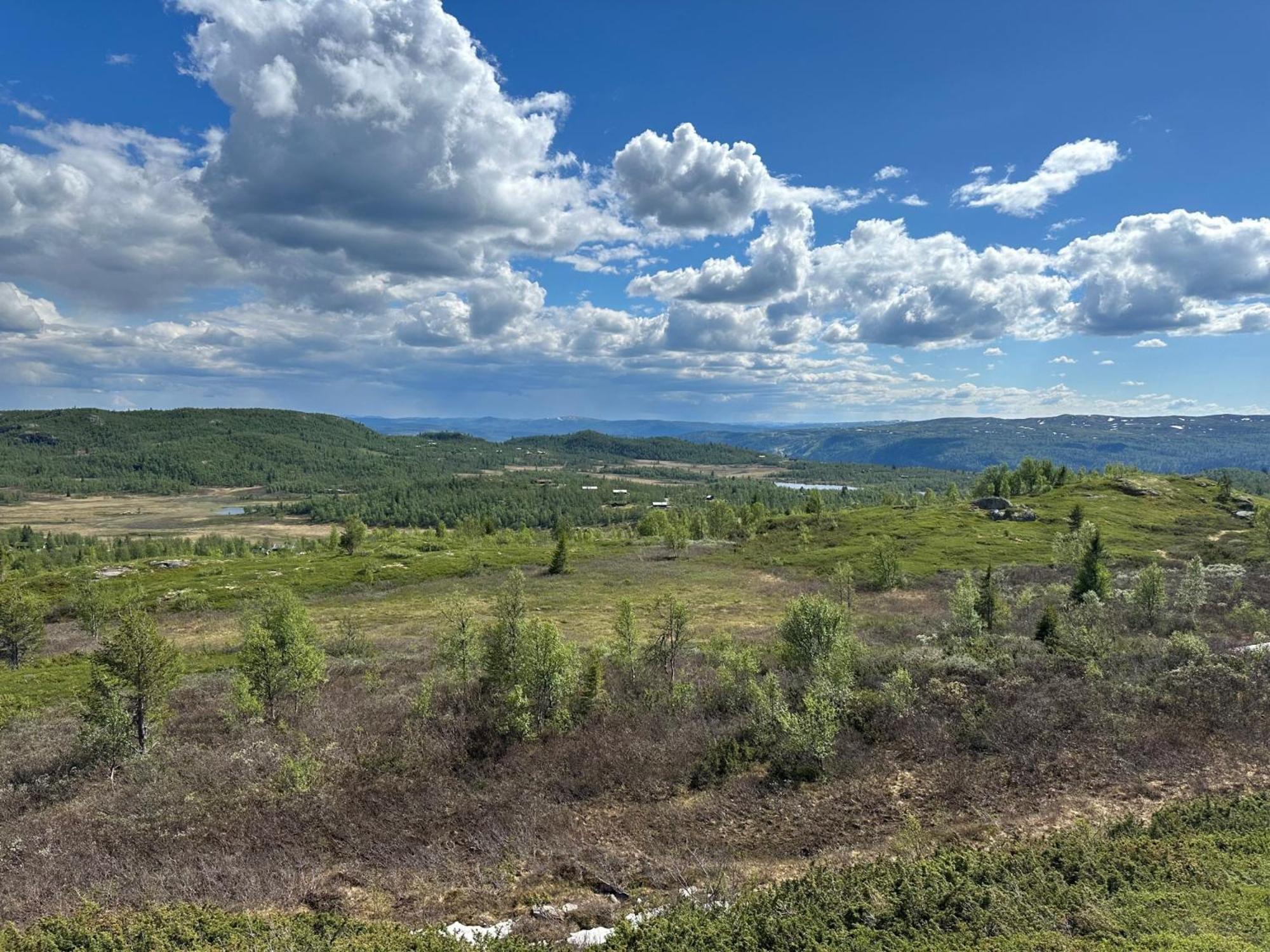 Kinnkosen - Cabin With Panoramic View For 6 Persons Holo Exterior photo